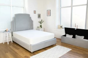 Eva Upholstered Bed Frame